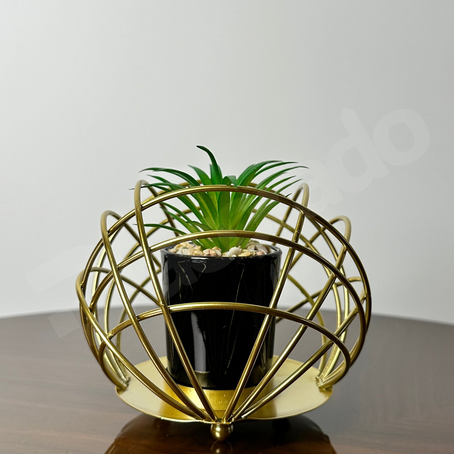 Golden Spherical Globe with Plant Inside