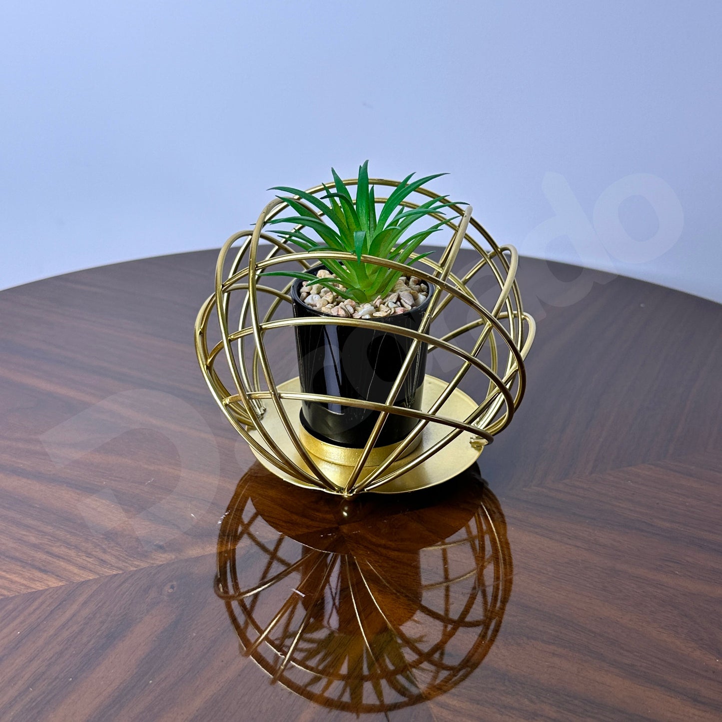 Golden Spherical Globe with Plant Inside