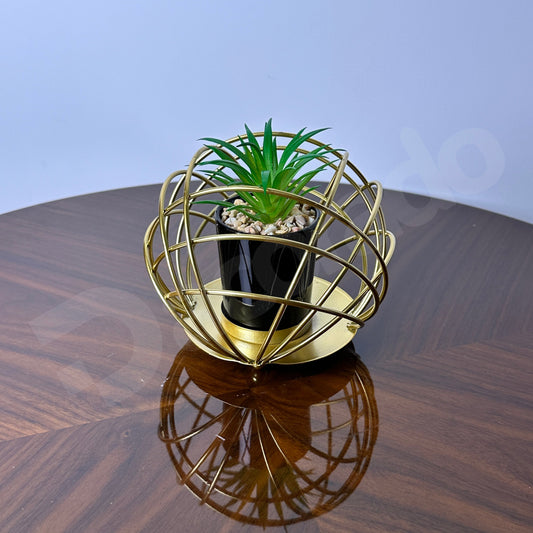 Golden Spherical Globe with Plant Inside