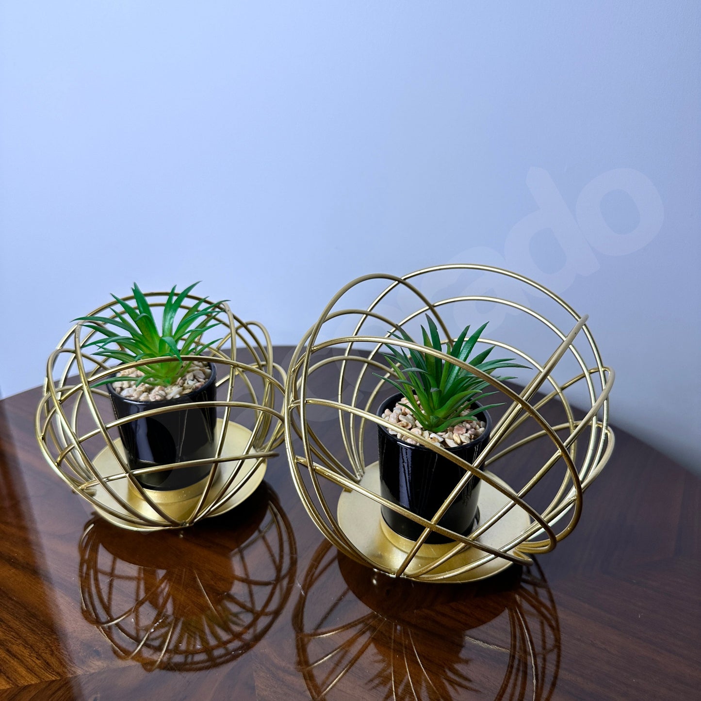 Golden Spherical Globe with Plant Inside