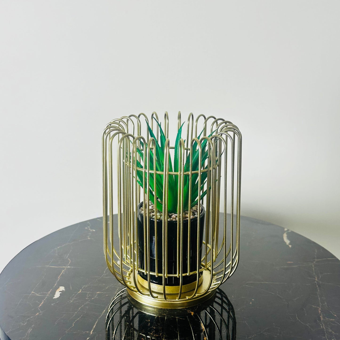 Golden Cage With Inside Plant