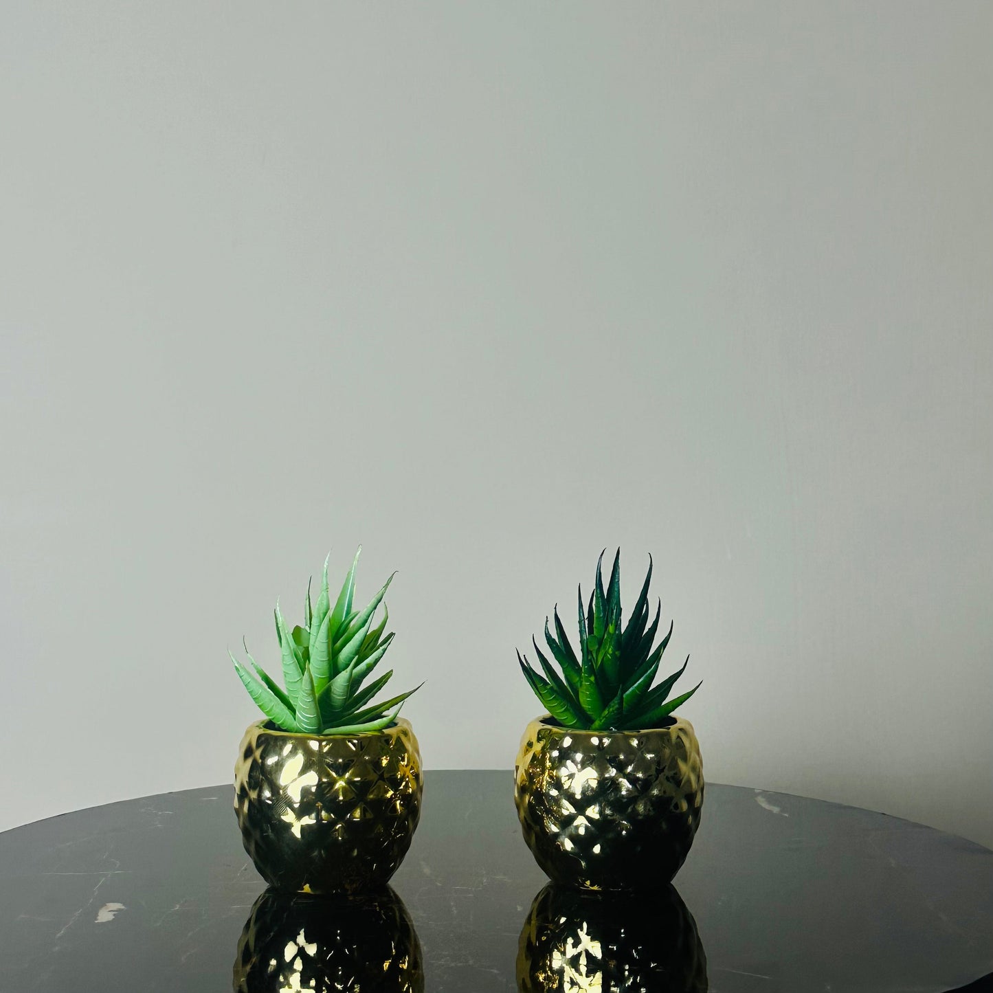 Luxury Mini Plants Set of Two