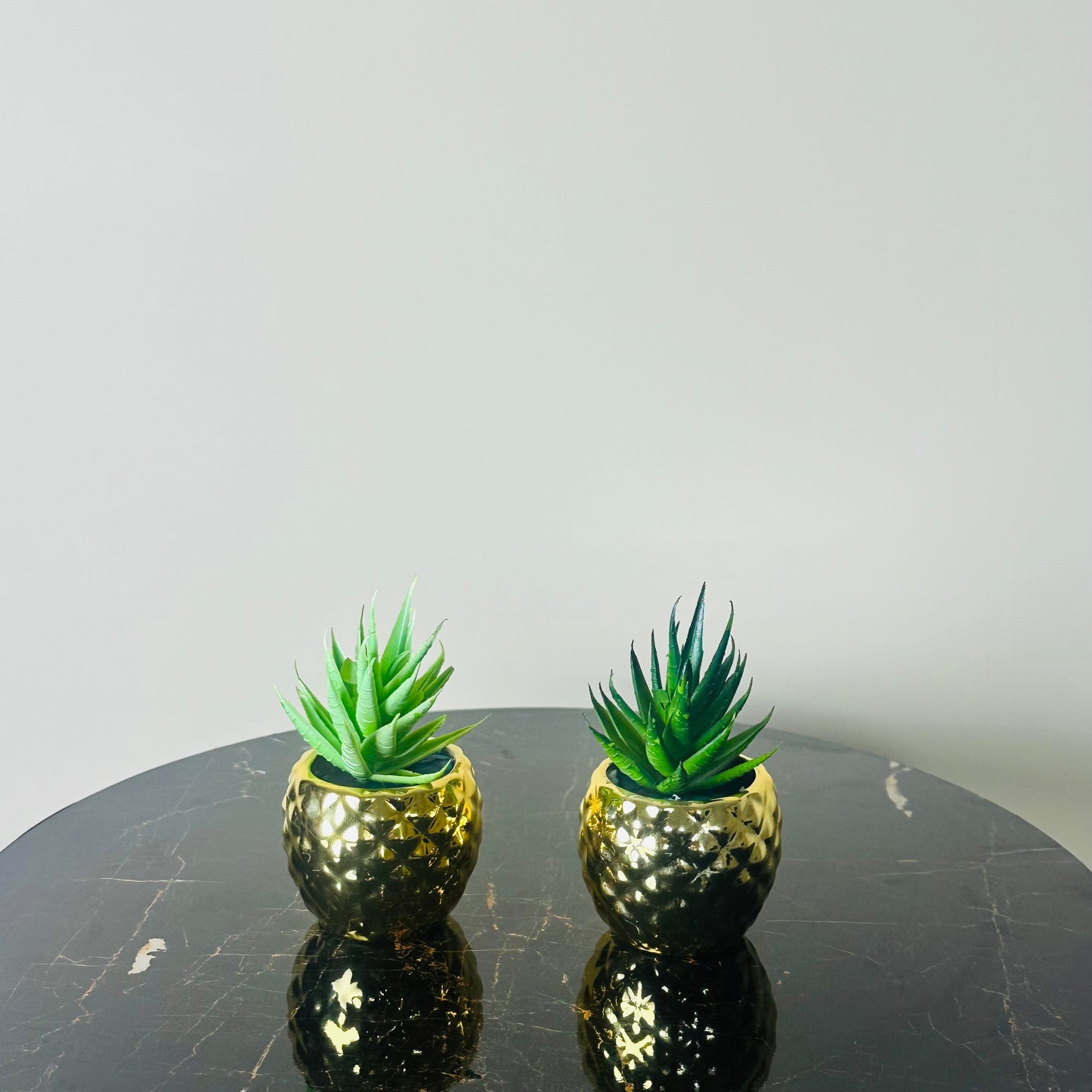 Luxury Mini Plants Set of Two