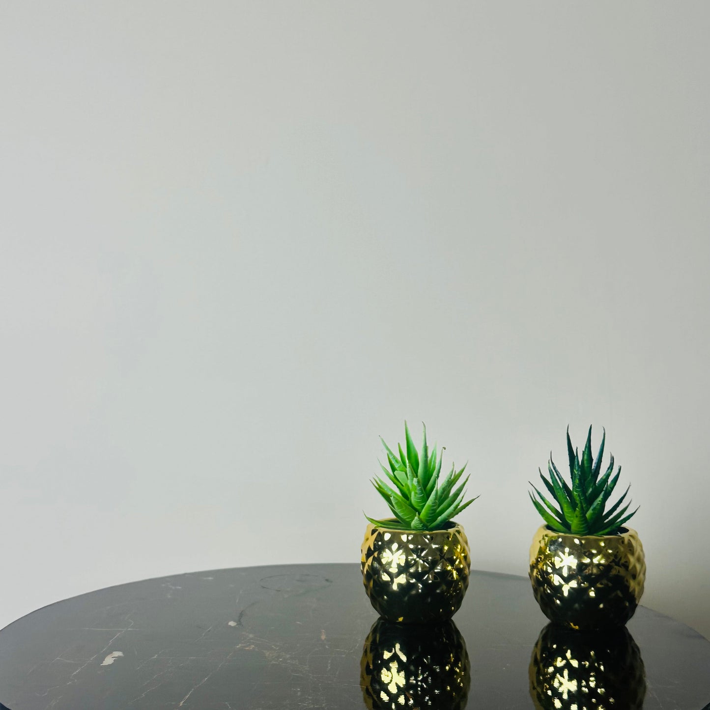 Luxury Mini Plants Set of Two