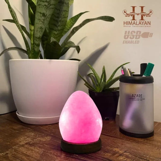 Egg Shape USB Himalayan Salt Lamp with Multicolored LED Bulb